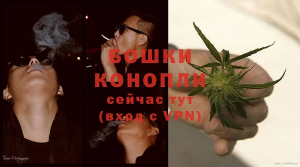соль ск Семилуки